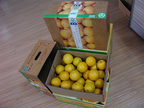 大小单双官网全自动水果盒成型机赢得云南褚橙的订单