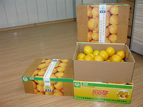 蔬菜水果包装箱成型机